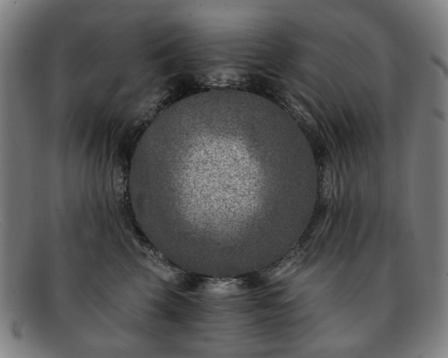 X0000091900569200709121501