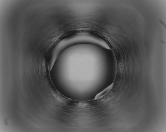 X0000091900570200709121501