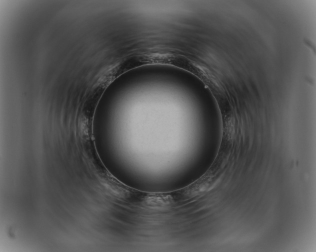 X0000091900571200709121501