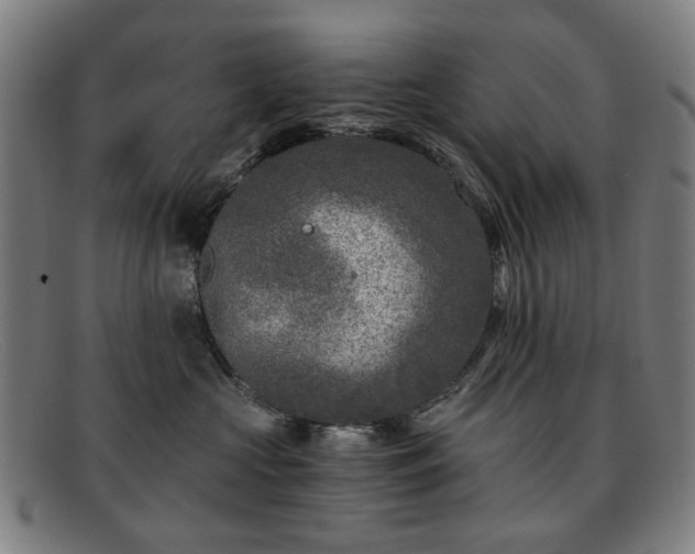 X0000091900573200709121501