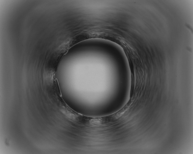 X0000091900574200709121501