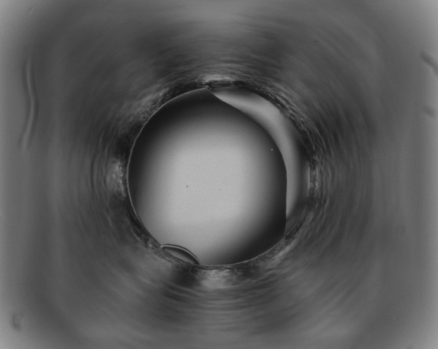 X0000091900575200709121501