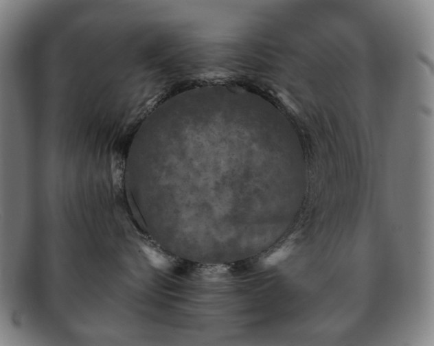 X0000091900576200709121501