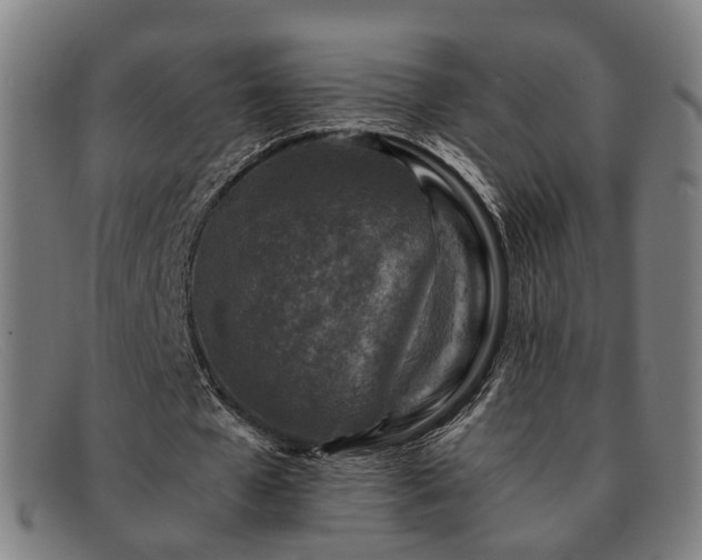 X0000091900577200709121500