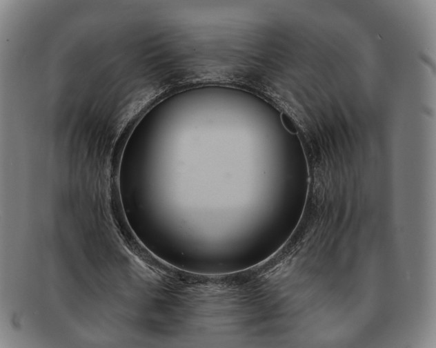 X0000091900578200709121500