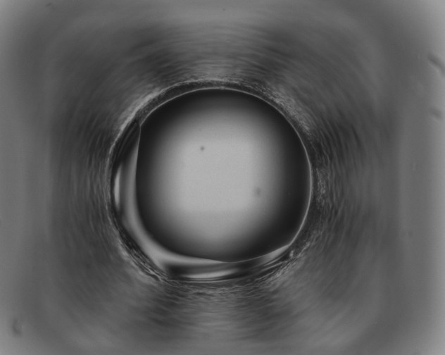 X0000091900580200709121500