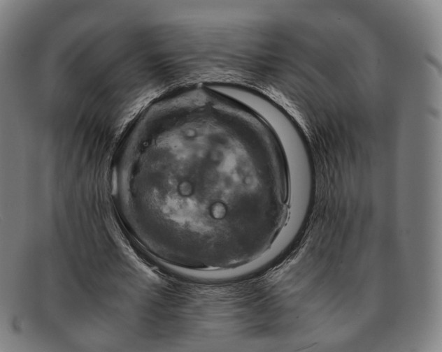 X0000091900581200709121500