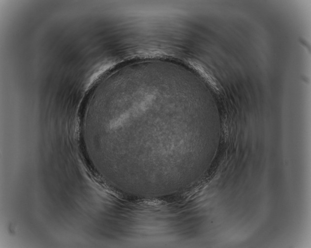 X0000091900583200709121500