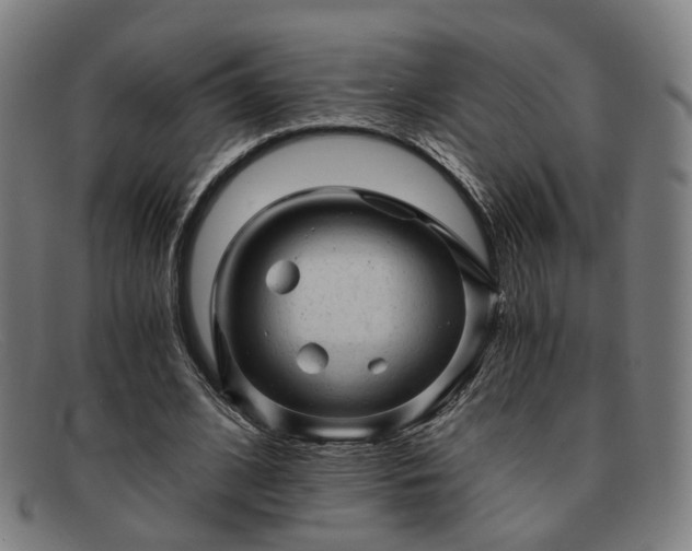 X0000091900584200709121500