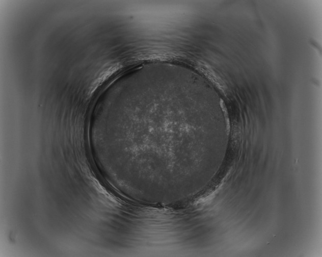 X0000091900585200709121500