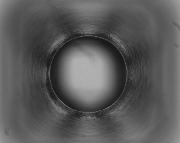 X0000091900586200709121500