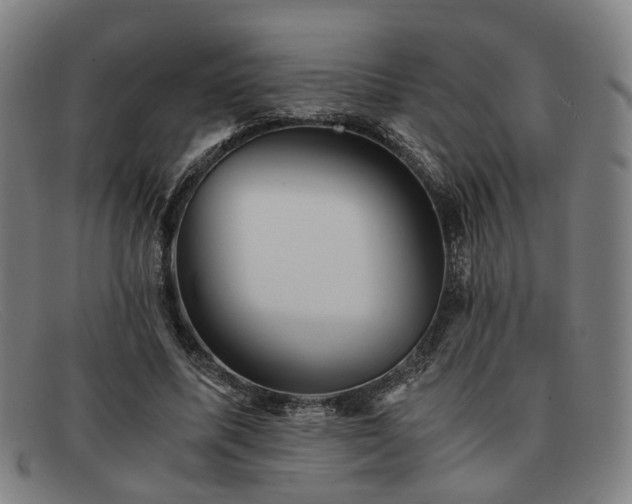 X0000091900587200709121500