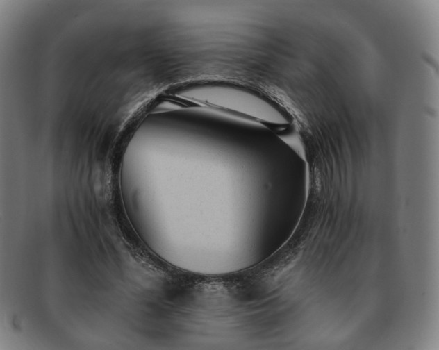 X0000091900588200709121500