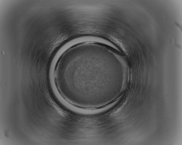 X0000091900589200709121500