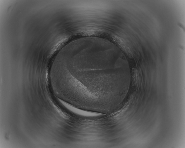 X0000091900590200709121500