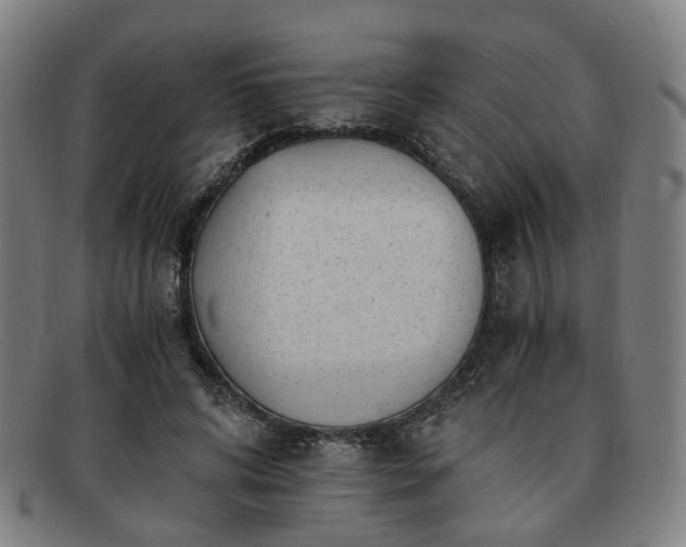 X0000091900592200709121500