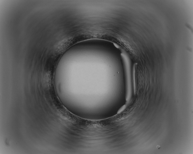 X0000091900594200709121500