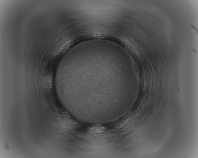 X0000091900595200709121500