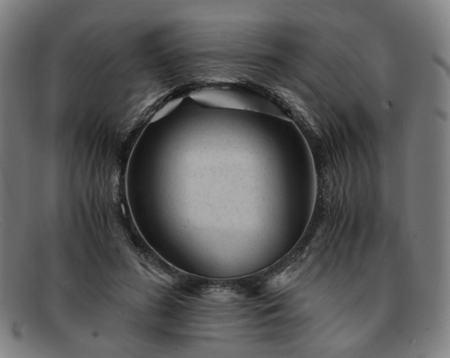 X0000091900596200709121500