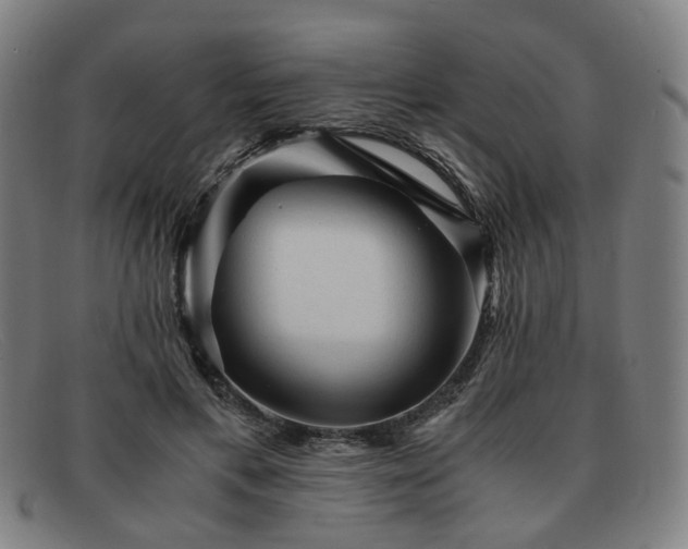 X0000091900597200709121500