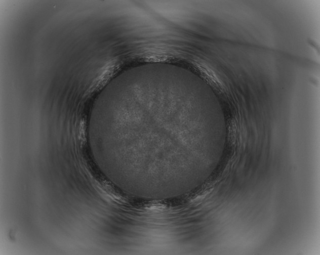 X0000091900598200709121500