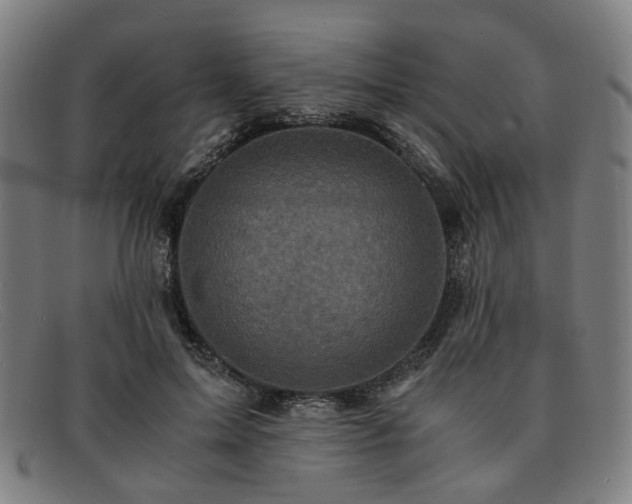 X0000091900599200709121500