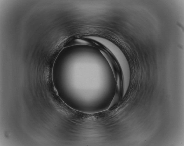 X0000091900600200709121500