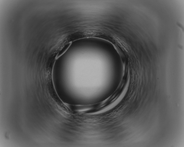 X0000091900601200709121500