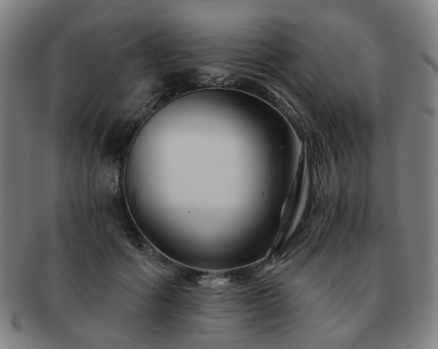 X0000091900602200709121500