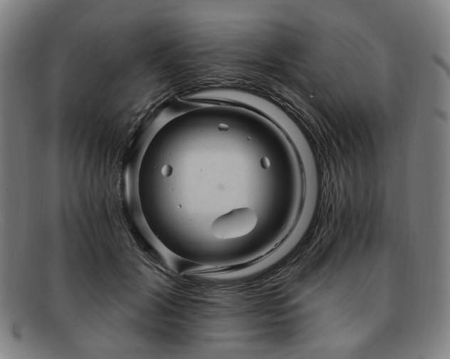 X0000091900604200709121500