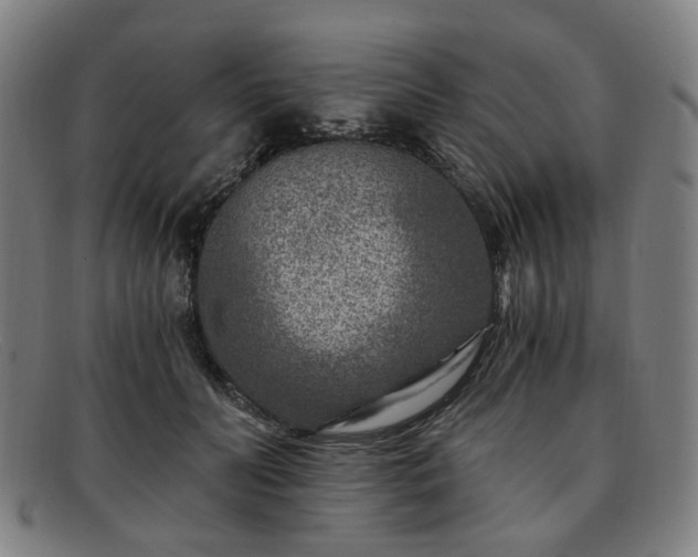 X0000091900606200709121500