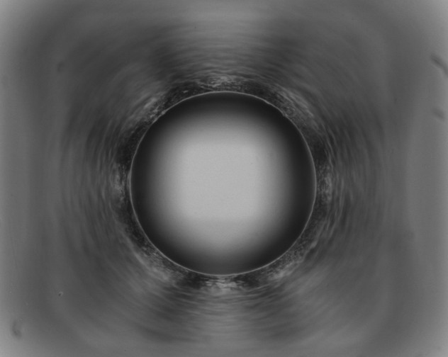 X0000091900607200709121500