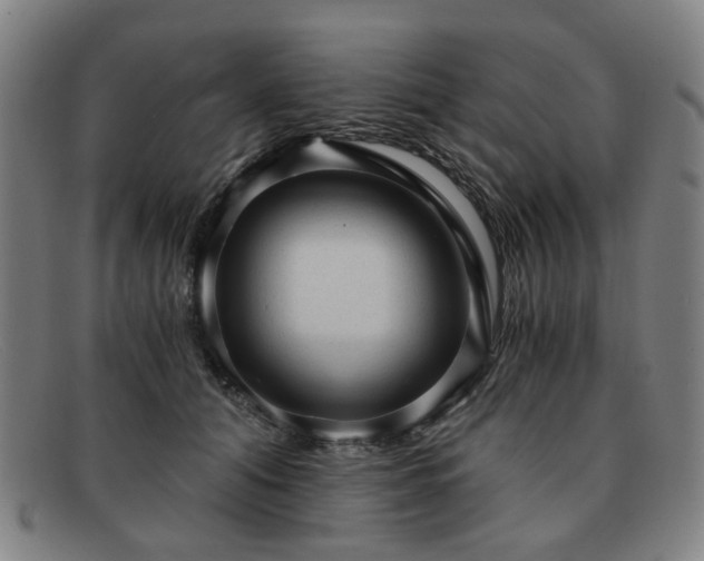 X0000091900608200709121500