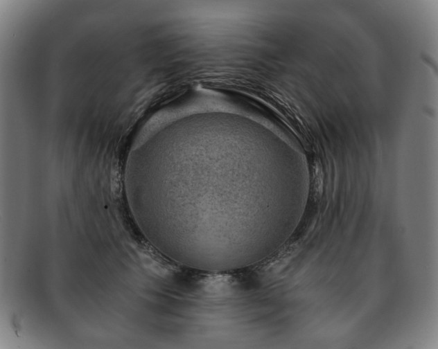 X0000091900609200709121500