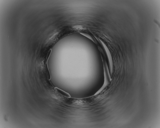 X0000091900611200709121500