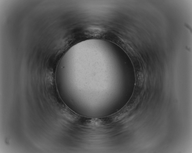 X0000091900612200709121500