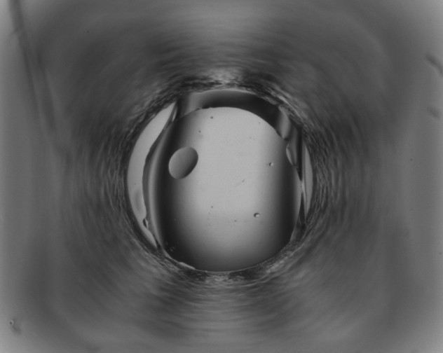 X0000091900613200709121500