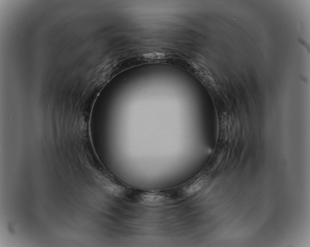 X0000091900614200709121500