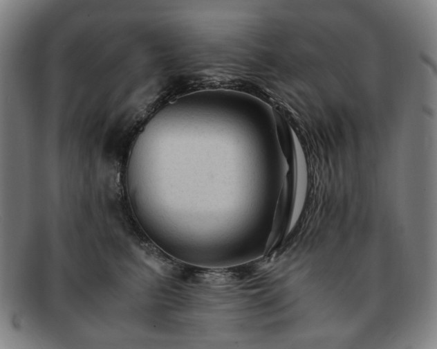 X0000091900615200709121500