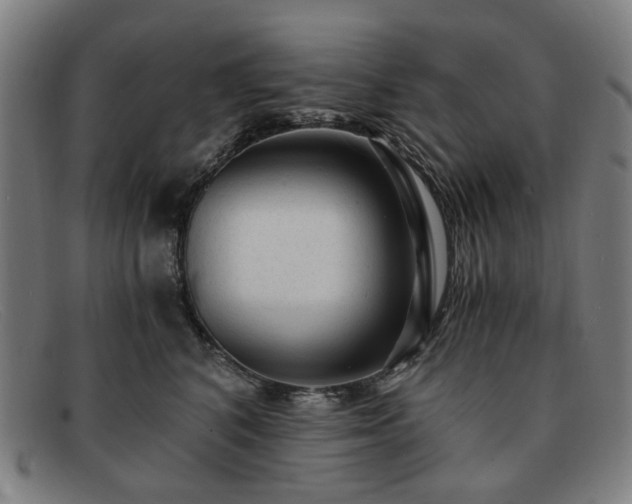 X0000091900616200709121500