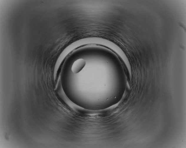 X0000091900617200709121500