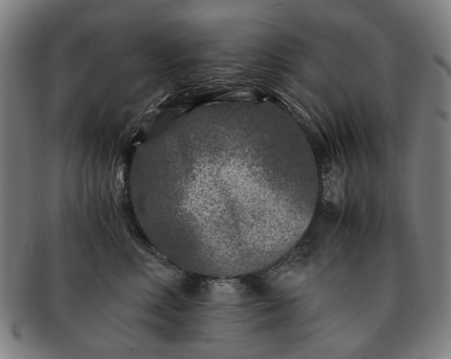 X0000091900618200709121500