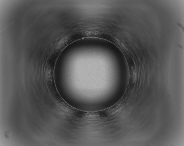 X0000091900619200709121500