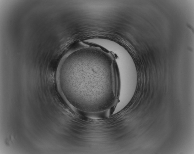 X0000091900621200709121500