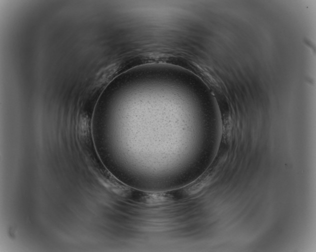 X0000091900623200709121500