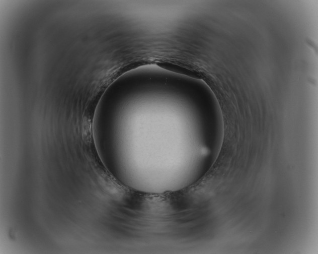 X0000091900624200709121500