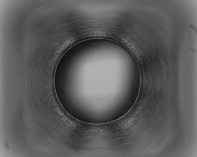 X0000091900625200709121459