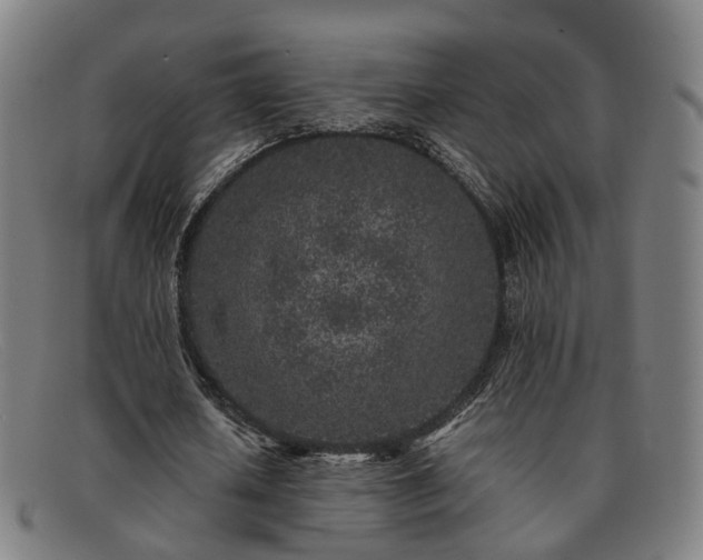 X0000091900626200709121459