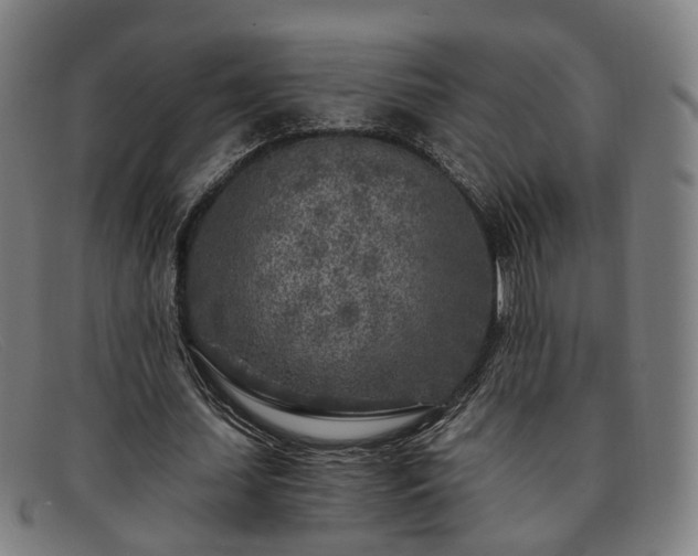 X0000091900627200709121459