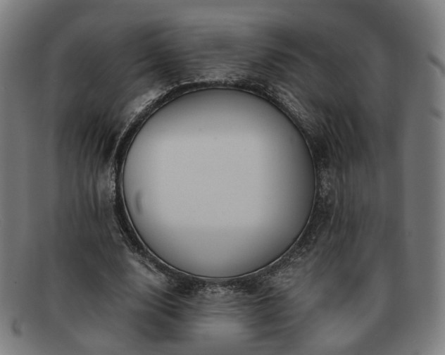 X0000091900632200709121459